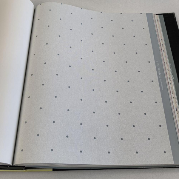 Andrea Rossi Spectrum Box 54454-14