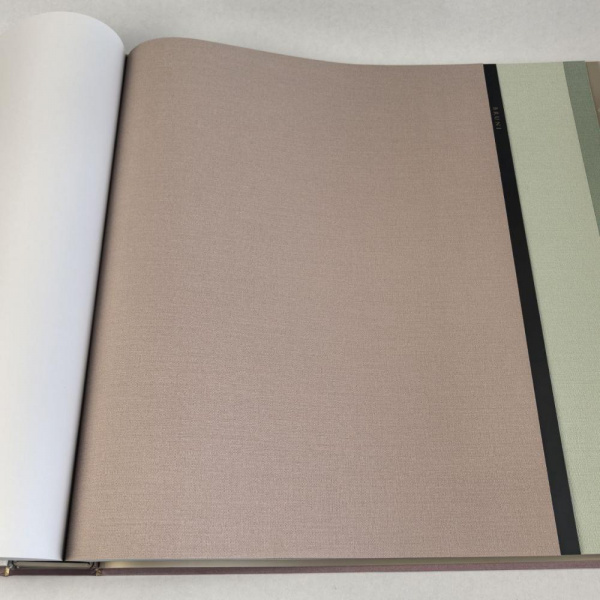 Alessandro Allori Bruni RBN 1003-9