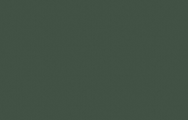 Hygge Made in Russia MIR4 005