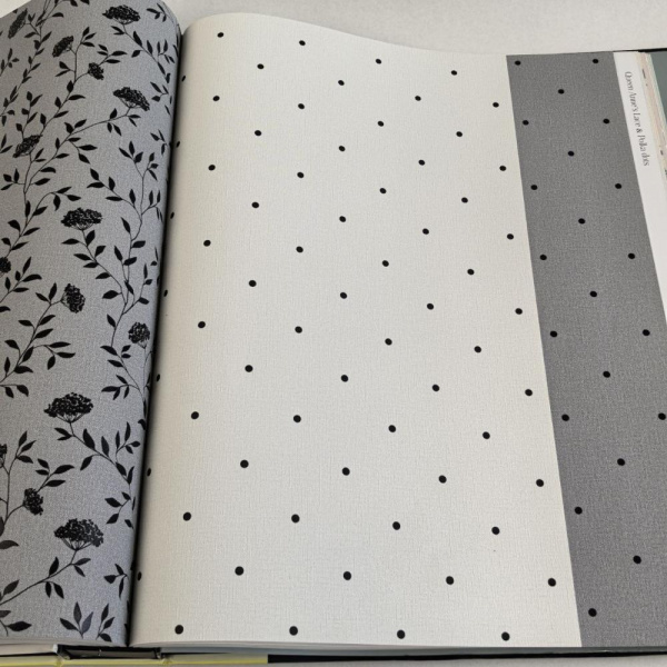 Andrea Rossi Spectrum Box 54454-24