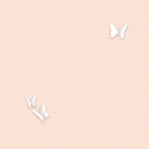 Andrea Rossi Gallinara 54309-4