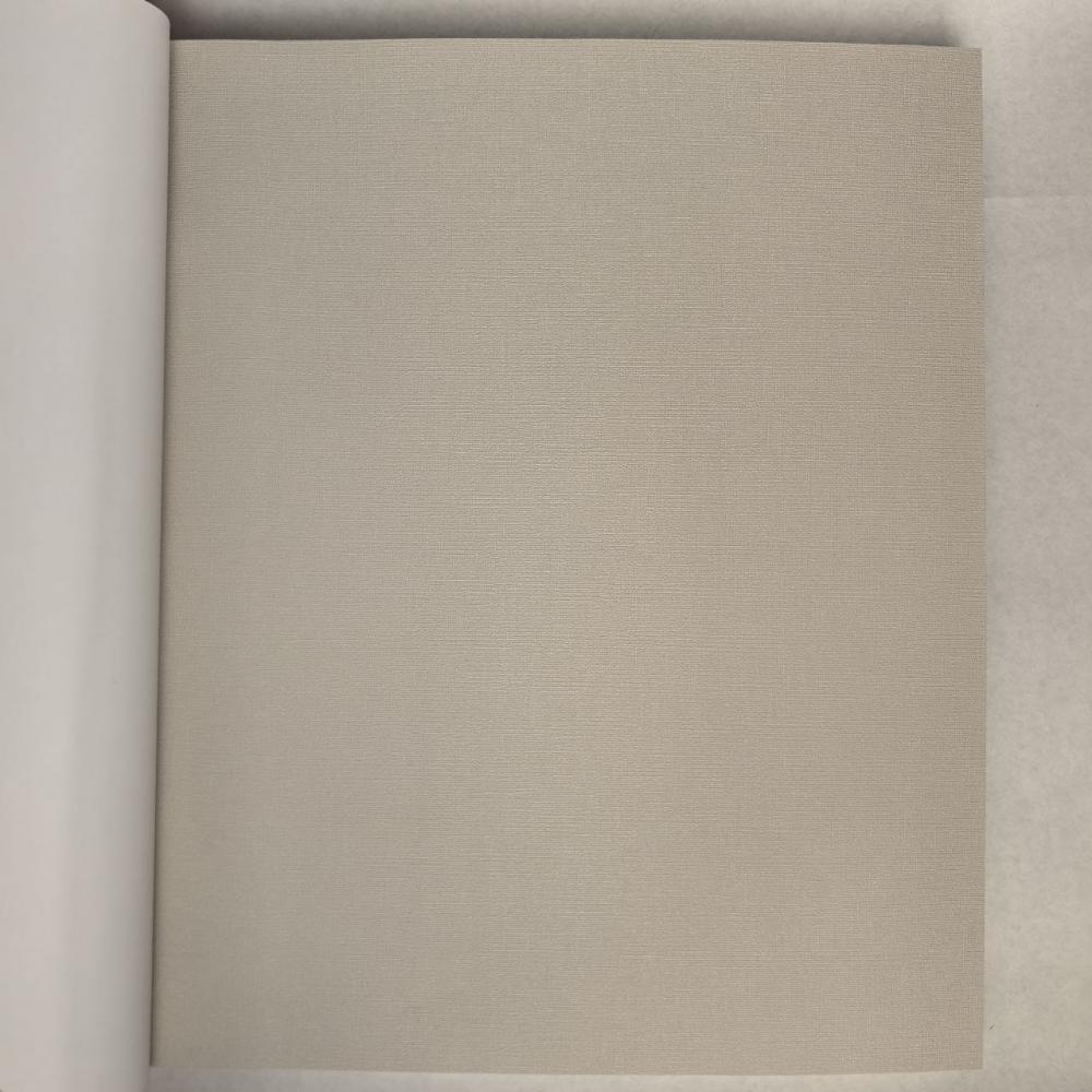 Andrea Rossi Berggi 54452-4