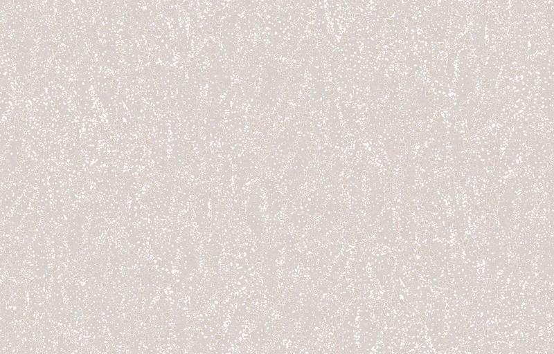 Loymina A la Prima PM7 001