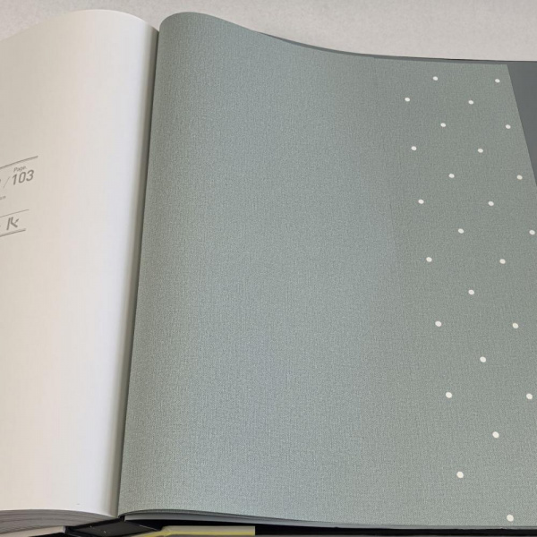 Andrea Rossi Spectrum Box 54455-13