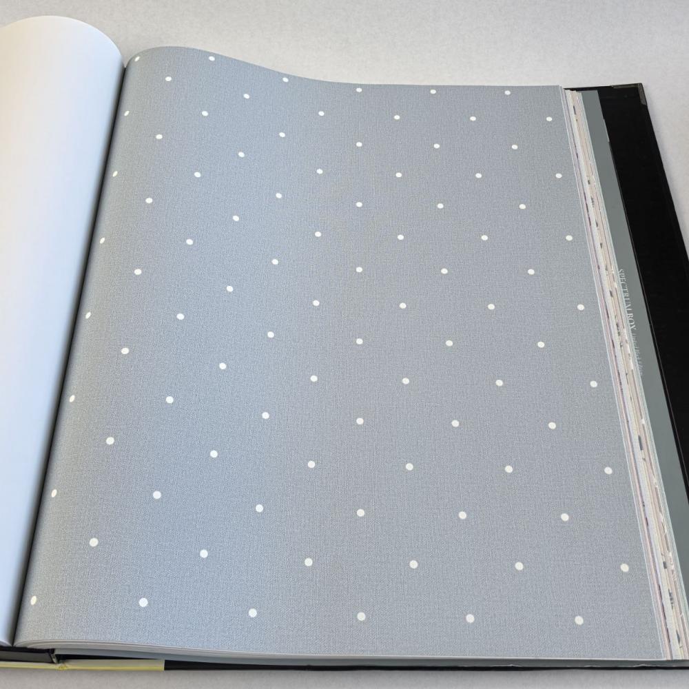 Andrea Rossi Spectrum Box 54454-13