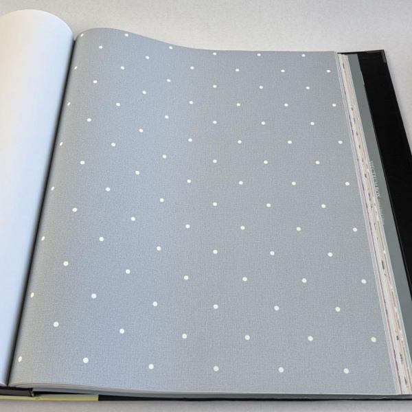 Andrea Rossi Spectrum Box 54454-13